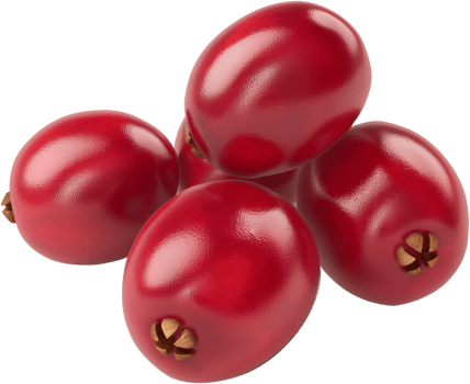 A Group of Cranberry isolated on a transparent background png