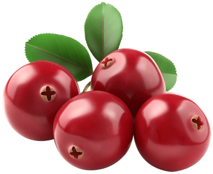 A fresh Cranberry isolated on a transparent background png