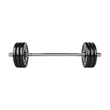 Gym Barbell on Transparent Background png