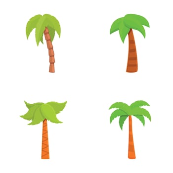 Palm icons set cartoon . Green tropical palm tree vector