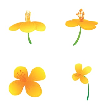 Celandine flower icons set cartoon . Bright yellow celandine flower vector
