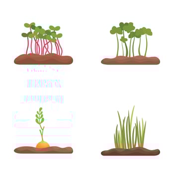Set of cartoon vegetable plants growth stages vector