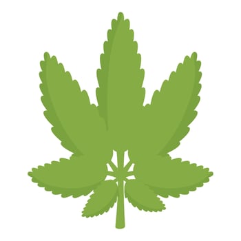 Simple green cannabis leaf is isolated on a white background vector