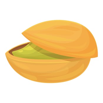 Single pistachio nut with open shell showing seed vector