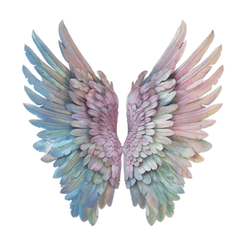 Pastel Color Angel Wings on Transparent Background png