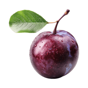 Plum fruit with a leaf on Transparent Background png