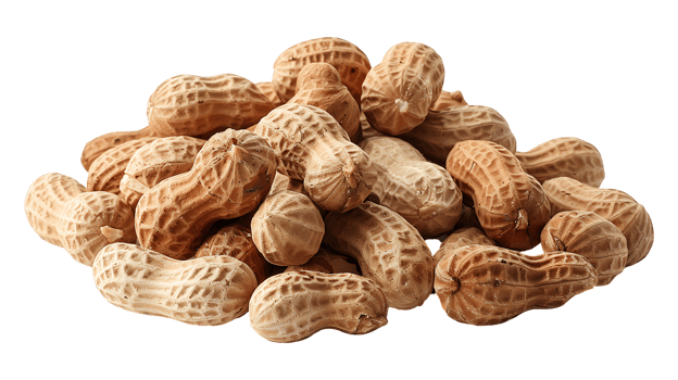 Fresh peanuts on a transparent background png