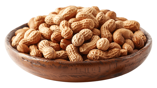 Fresh peanuts on a transparent background png