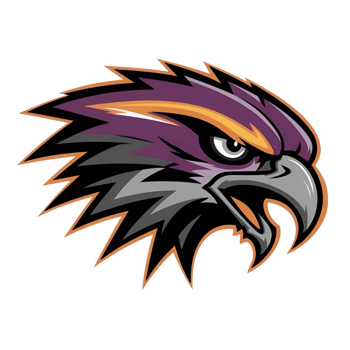 Cartoon sticker featuring the Bald Eagle png