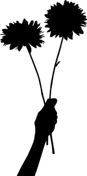 Silhouette hand holding flower vector