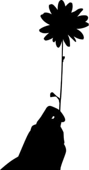 Silhouette hand holding flower vector