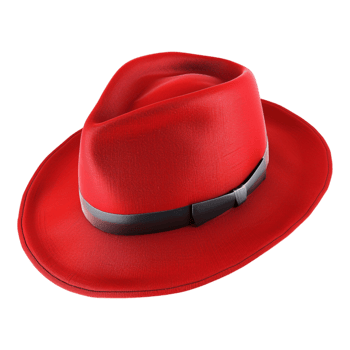 Red Hat on Transparent Background png