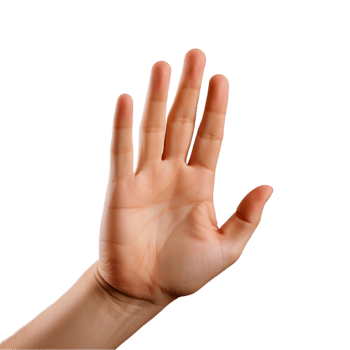 hand showing five fingers on transparent background png