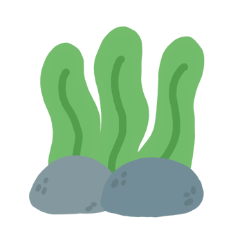 seaweed with rock png