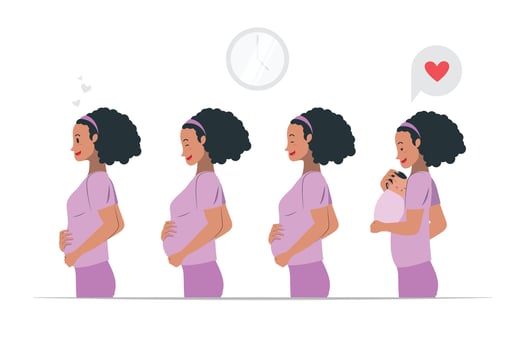 pregnancy or maternity stages concept illustration vector