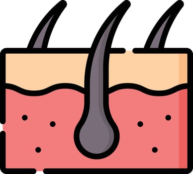 skin illustration design vector