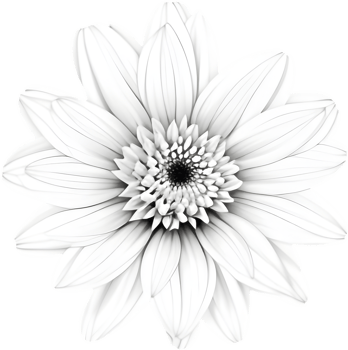 Delicate white dahlia blooms enchant with pristine petals. AI-generated. png