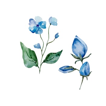 Blue watercolor blossom flowers set vector