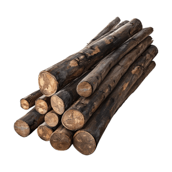 Wooden Logs Stack on Transparent Background png
