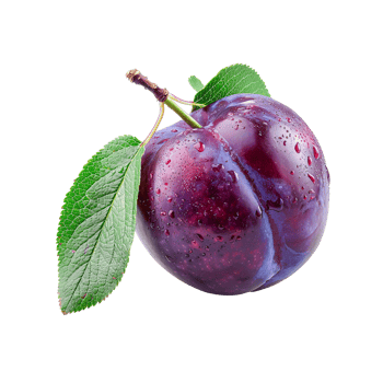 Vibrant Purple Plum Fresh Fruit png
