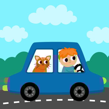 square scene with boy driving a car with cat. Transportation illustration. Cute kid steering transport. Road landscape. Cartoon child on automobile vector