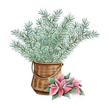 Fir tree branches in vintage brown pot with poinsettia flowers watercolor illustration. Christmas holiday decoration vector