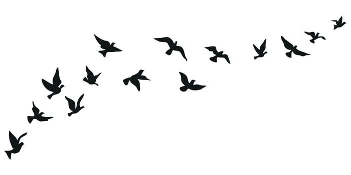 flying birds silhouette set clipart isolated on white background vector