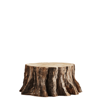 stump podium for product display png