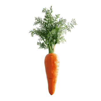 3D Render Of Fresh Market Carrot On Plain Transparent Background png