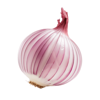 Half Peeled Red Onion Isolated on Transparent Background png