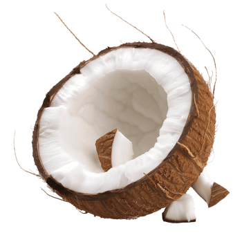 Close-Up of Fresh Cracked Coconut on Transparent Background png