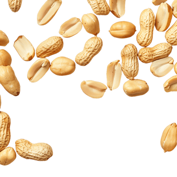 Shelled And Unshelled Peanuts On Transparent Background png