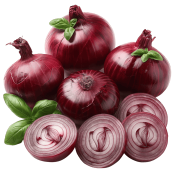 Bold Red Onions with Fresh Leaves png