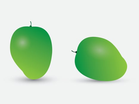 Green sour tasty mango on white background vector