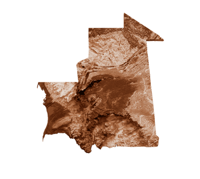 Map of Mauritania in old style, brown graphics in a retro style Vintage Style. High detailed 3d illustration png
