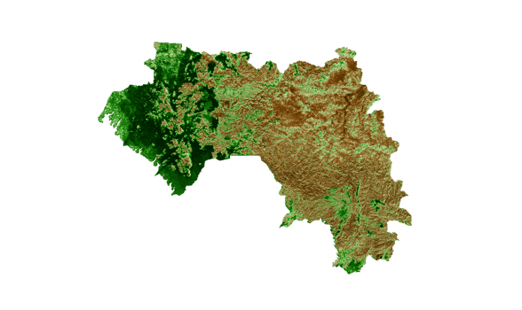 Guinea Topographic Map 3d realistic map Color 3d illustration png