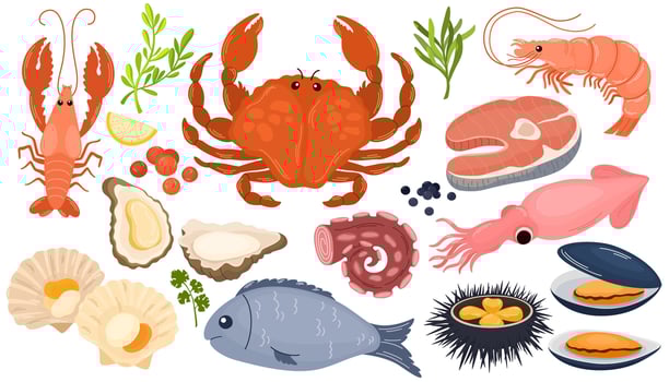 Seafood products set. Ocean meal. Prawns or crabs. Marine fish. Fresh shellfish. Lobster and oyster mollusk. Cooking delicatessen ingredients. Seafood vitamins. Garish set vector