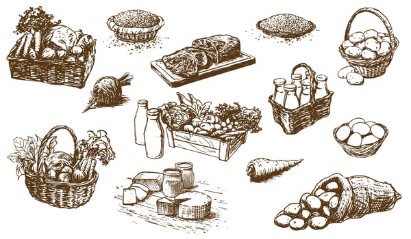 farm products - food, set of hand-drawn illustrations vector