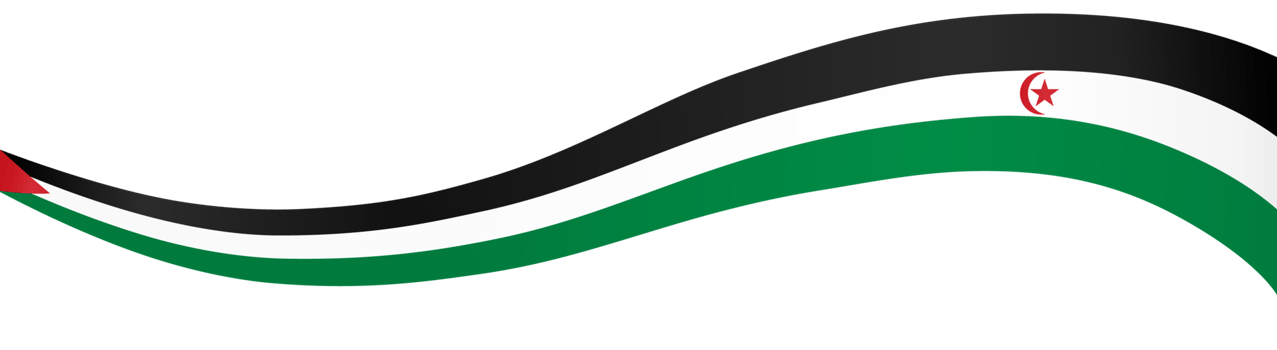 Western sahara flag wave png