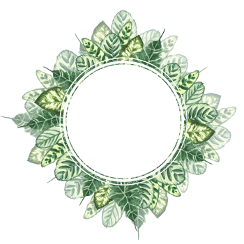 Tropical leaves watercolor round frame. Summer green realistic plant leaf, foliage banner. Jungle exotic template for greeting card, wedding invitation. Hand drawn illustration on isolated background png