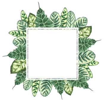 Tropical leaves watercolor square frame. Summer green realistic plant leaf, foliage banner. Hawaiian exotic template for greeting card. Jungle clipart. Hand drawn illustration on isolated background png