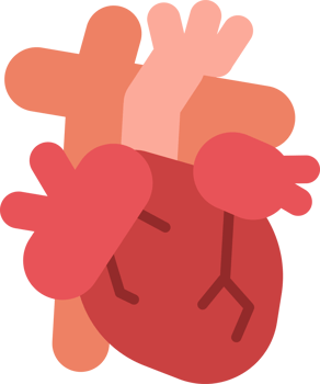 Flat Heart Organ Illustration png
