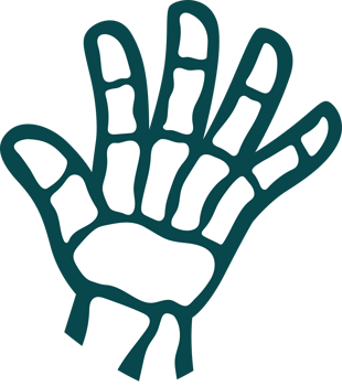 Hand X ray illustration png