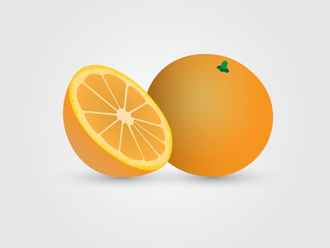 A sliced and full orange on white background illustration vector