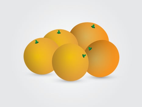 A group of sweet oranges on white background illustration vector