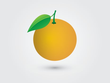A round orange fruit on white background illustration vector