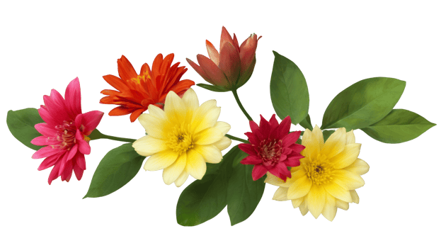 colorful flowers in water color isolated on transparent background png