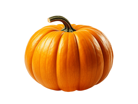 pumpkin isolated object png