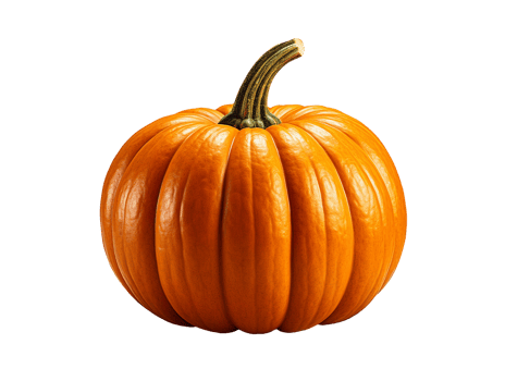 pumpkin isolated object png