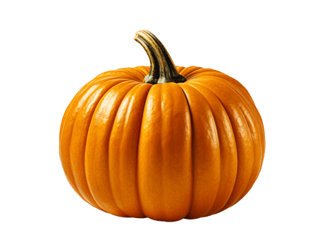 pumpkin isolated object png